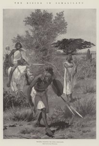 Resningen i Somaliland